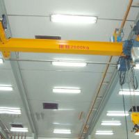 四川綿陽本地廠家供應(yīng)LS手動單梁起重機(jī)
