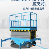 河北滄州起重機(jī)龍門吊專用檢修升降平臺