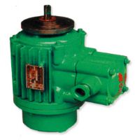 武漢起升電機(jī)高品質(zhì)