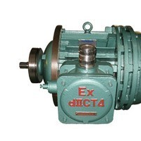 南京防爆電動(dòng)葫蘆電機(jī)廠(chǎng)家
