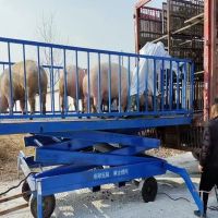 河南升降平臺(tái)廠家、轉(zhuǎn)豬臺(tái)、升降平臺(tái)銷售